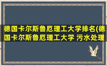 德国卡尔斯鲁厄理工大学排名(德国卡尔斯鲁厄理工大学 污水处理院士)